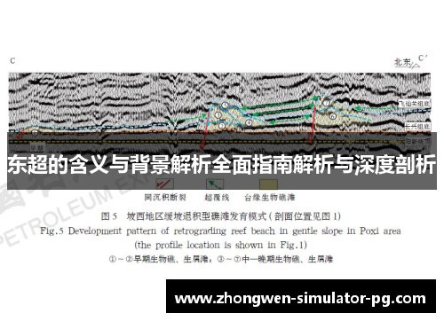 东超的含义与背景解析全面指南解析与深度剖析