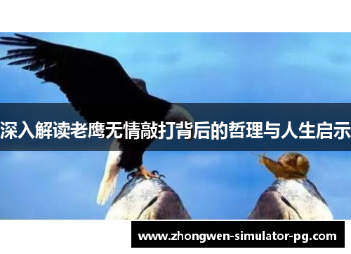 深入解读老鹰无情敲打背后的哲理与人生启示
