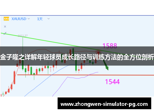 金子隆之详解年轻球员成长路径与训练方法的全方位剖析