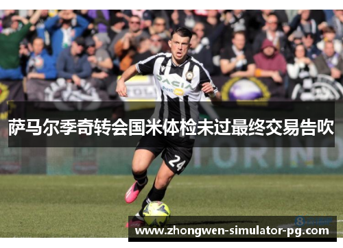 萨马尔季奇转会国米体检未过最终交易告吹